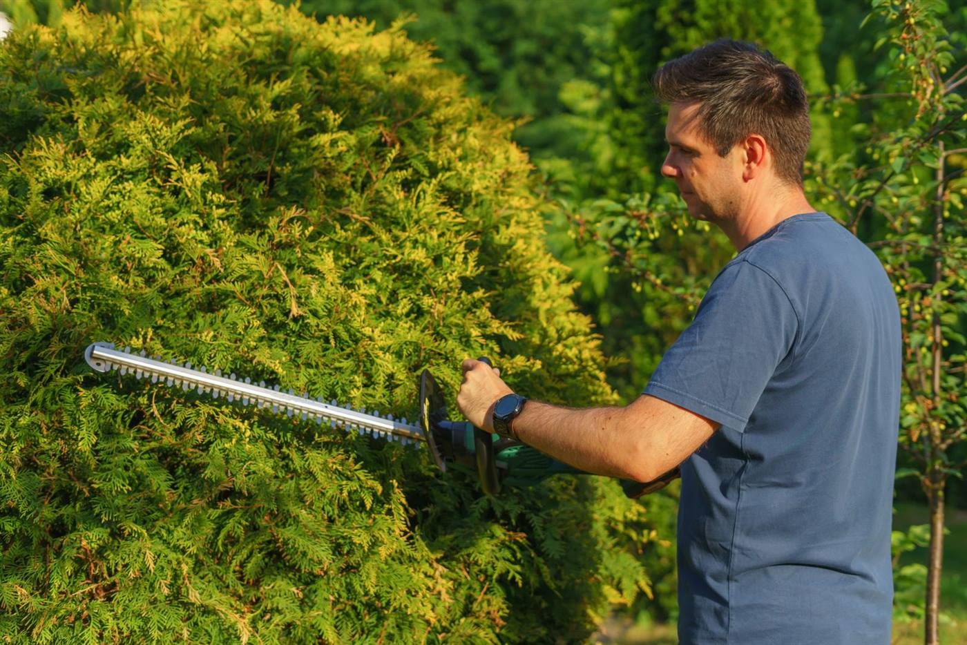 Nachher: Gepflegter Privatgarten